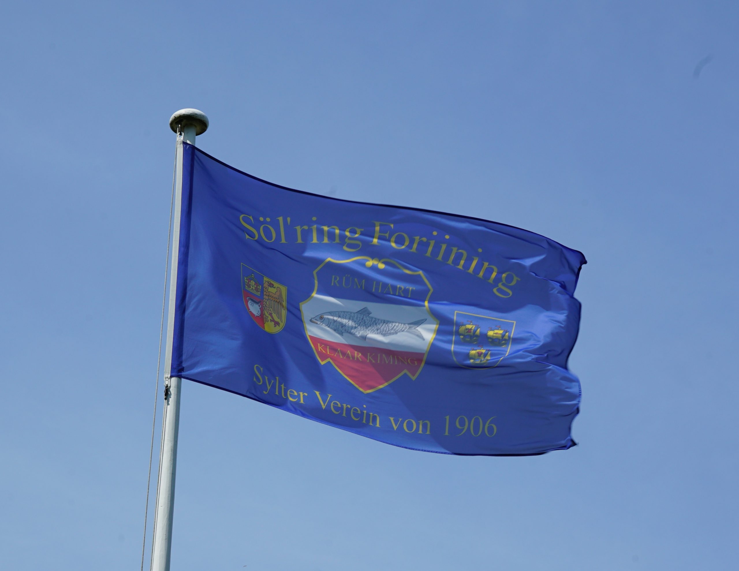 Soelring Foriining Flagge